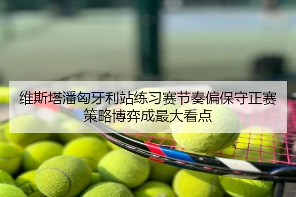 维斯塔潘匈牙利站练习赛节奏偏保守正赛策略博弈成最大看点