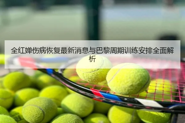 全红婵伤病恢复最新消息与巴黎周期训练安排全面解析