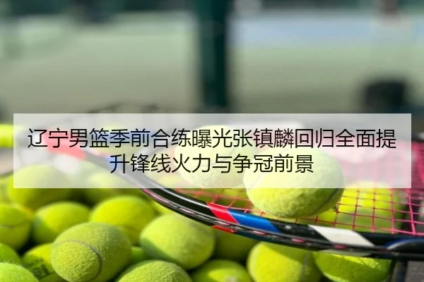 辽宁男篮季前合练曝光张镇麟回归全面提升锋线火力与争冠前景